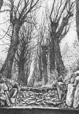 images/Forgotten-world-big.jpg